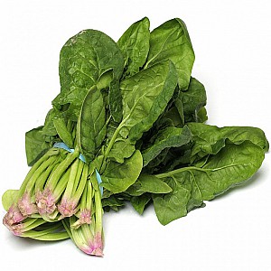 Bunched Spinach