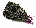 Organic Red Kale