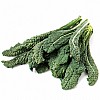 Lacinato Kale