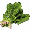 Bunched Spinach